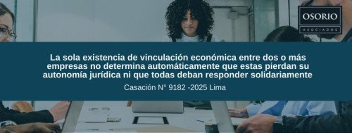 La sola existencia de vinculación económica entre dos o más empresas no determina automáticamente que estas pierdan su autonomía jurídica ni que todas deban responder solidariamente