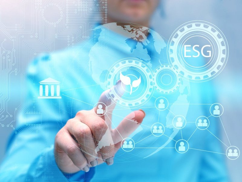 Sostenibilidad e innovación: cómo cambiar la forma de hacer las cosas